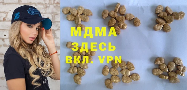 ГАЛЛЮЦИНОГЕННЫЕ ГРИБЫ Каменка