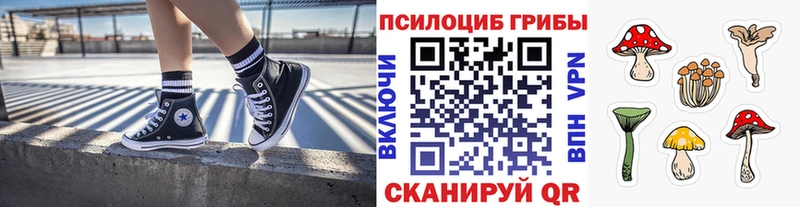 Псилоцибиновые грибы MAGIC MUSHROOMS  Альметьевск 