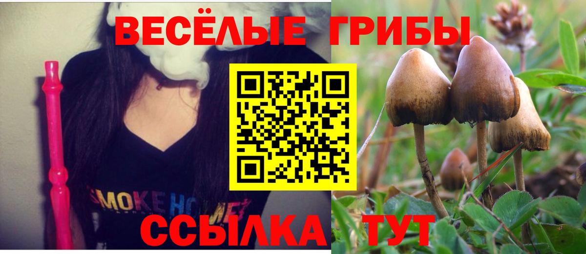 Псилоцибиновые грибы Psilocybine cubensis  купить наркотик  Вход с VPN  Альметьевск  Галлюциногенные грибы мухоморы 